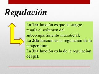 Regulación
La 1ra función es que la sangre
regula el volumen del
subcompartimento intersticial.
La 2da función es la regulación de la
temperatura.
La 3ra función es la de la regulación
del pH.
 