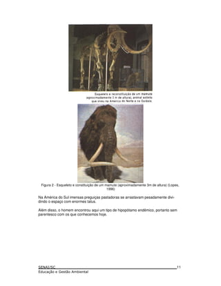 Figura 2 - Esqueleto e constituição de um mamute (aproximadamente 3m de altura) (Lopes,
1996)
Na América do Sul imensas preguiças pastadoras se arrastavam pesadamente divi-
dindo o espaço com enormes tatus.
Além disso, o homem encontrou aqui um tipo de hipopótamo endêmico, portanto sem
parentesco com os que conhecemos hoje.
11
 