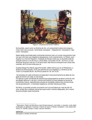 Figura 3 - Ancestrais do homem moderno
Na Austrália, assim como na América do Sul, um extraordinário elenco de congurus,
muito maior que os atuais; “tamanduás marsupiais”, “hipopótamos” marsupiais e “capi-
varas” marsupiais 1
.
Nesta rápida caminhada pelos continentes teríamos visto um mundo imensamente mais
rico que o de hoje cuja megafauna desapareceu muito recentemente, no Pleisto- ceno
Superior ou início do Holoceno. A datação de fósseis revela que na Austrália onde de
extinção ocorreu a uns 50 mil a.a. (anos atrás), na Europa uns 20 – 30 mil a.a. E nas
Américas há pouco mais de 10 mil anos atrás. Nas ilhas as extinções foram ainda mais
recentes, de 6 mil anos atrás para cá.
O paleontólogo Paul Martin (apud Fernandez, 2000) estima que só no Pleistoceno, a
América do Norte perdeu 73,3% dos gêneros de sua megafauna, a América do Sul
79,6% e a Austrália 86,4%. Na África a perda foi “só” de 14,3%.
As extinções em cada continente correspondem muito proximamente às datas de che-
gada do homem em cada um dos locais.
Foi apenas a partir da década de sessenta que pesquisadores se deram conta de uma
percepção adicional: a de que o homem pré-histórico já havia afetado as faunas de
continentes inteiros, especialmente através da extirpação seletiva dos animais terres-
tres de grande porte – a chamada megafauna, animais maiores que 44kg.
Na África, os grandes animais conviveram com os hominídeos por mais de três mil
anos, tempo que a seleção natural teve para evoluir instintos adequados, daí a menor
taxa de extinção nesse continente.
1
Marsupiais: Ordem de Mamíferos cujas fêmeas possuem uma bolsa, o marsúpio, onde estão
localizadas as glândulas mamárias e dentro do qual os filhotes completam o seu desenvolvi-
mento. Ex. Gambá, Canguru, Coala, Lobo-da-Tasmânia.
12
 