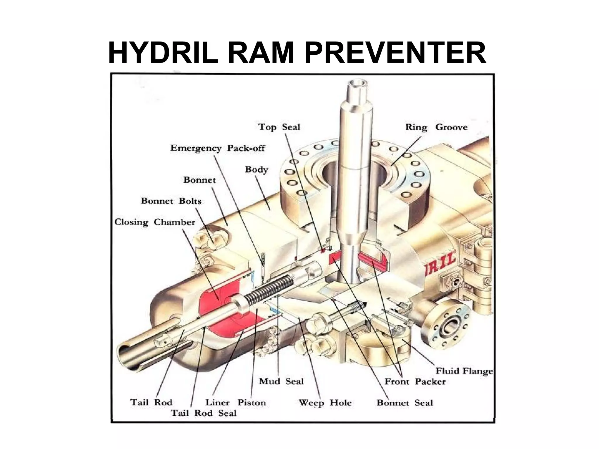 HYDRIL RAM PREVENTER
 