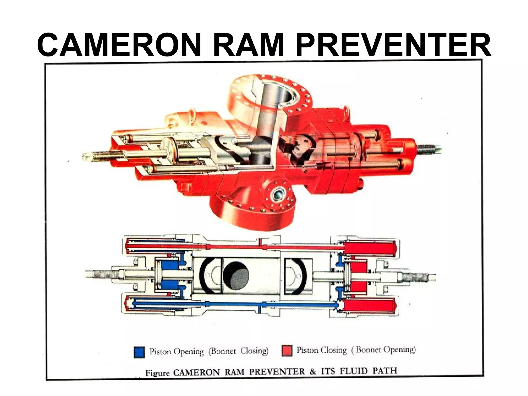 CAMERON RAM PREVENTER
 
