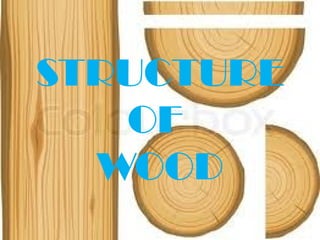 STRUCTURE
OF
WOOD
 