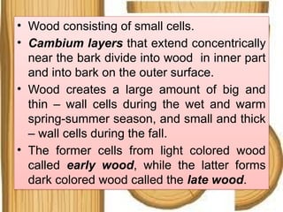 • Wood consisting of small cells.
• Cambium layers that extend concentrically
near the bark divide into wood in inner part
and into bark on the outer surface.
• Wood creates a large amount of big and
thin – wall cells during the wet and warm
spring-summer season, and small and thick
– wall cells during the fall.
• The former cells from light colored wood
called early wood, while the latter forms
dark colored wood called the late wood.
 