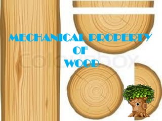 MECHANICAL PROPERTY
OF
WOOD
 
