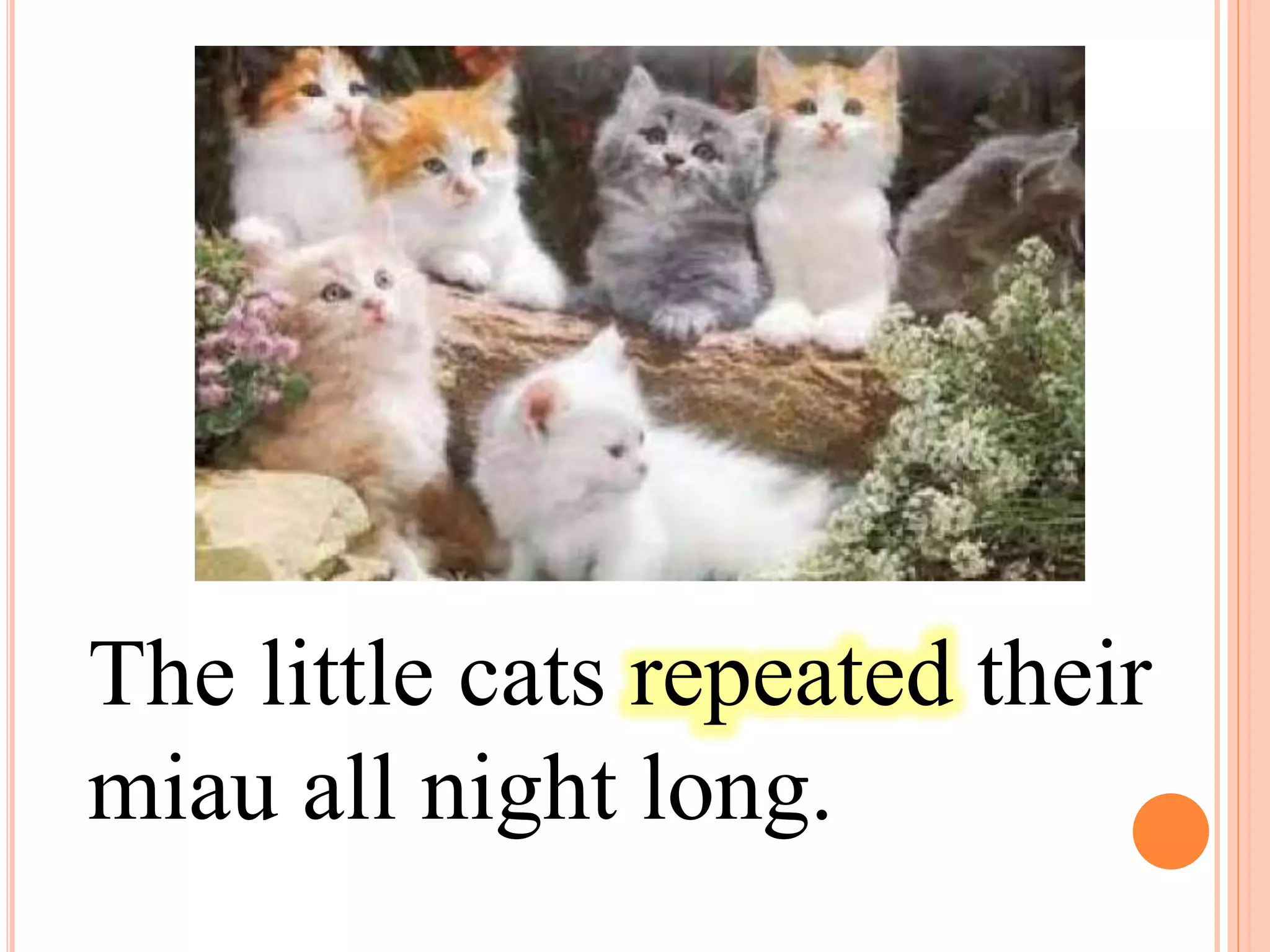 The little cats repeated their
miau all night long.