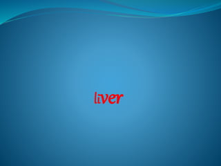 liver
 