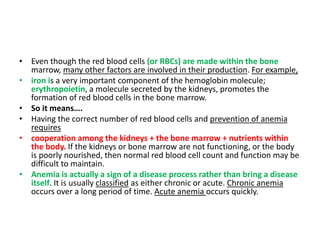 • Even though the red blood cells (or RBCs) are made within the bone
marrow, many other factors are involved in their production. For example,
• iron is a very important component of the hemoglobin molecule;
erythropoietin, a molecule secreted by the kidneys, promotes the
formation of red blood cells in the bone marrow.
• So it means….
• Having the correct number of red blood cells and prevention of anemia
requires
• cooperation among the kidneys + the bone marrow + nutrients within
the body. If the kidneys or bone marrow are not functioning, or the body
is poorly nourished, then normal red blood cell count and function may be
difficult to maintain.
• Anemia is actually a sign of a disease process rather than bring a disease
itself. It is usually classified as either chronic or acute. Chronic anemia
occurs over a long period of time. Acute anemia occurs quickly.
 