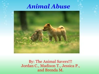 Animal Abuse   By: The Animal Savers!!! Jordan C., Madison T., Jessica P., and Brenda M. 