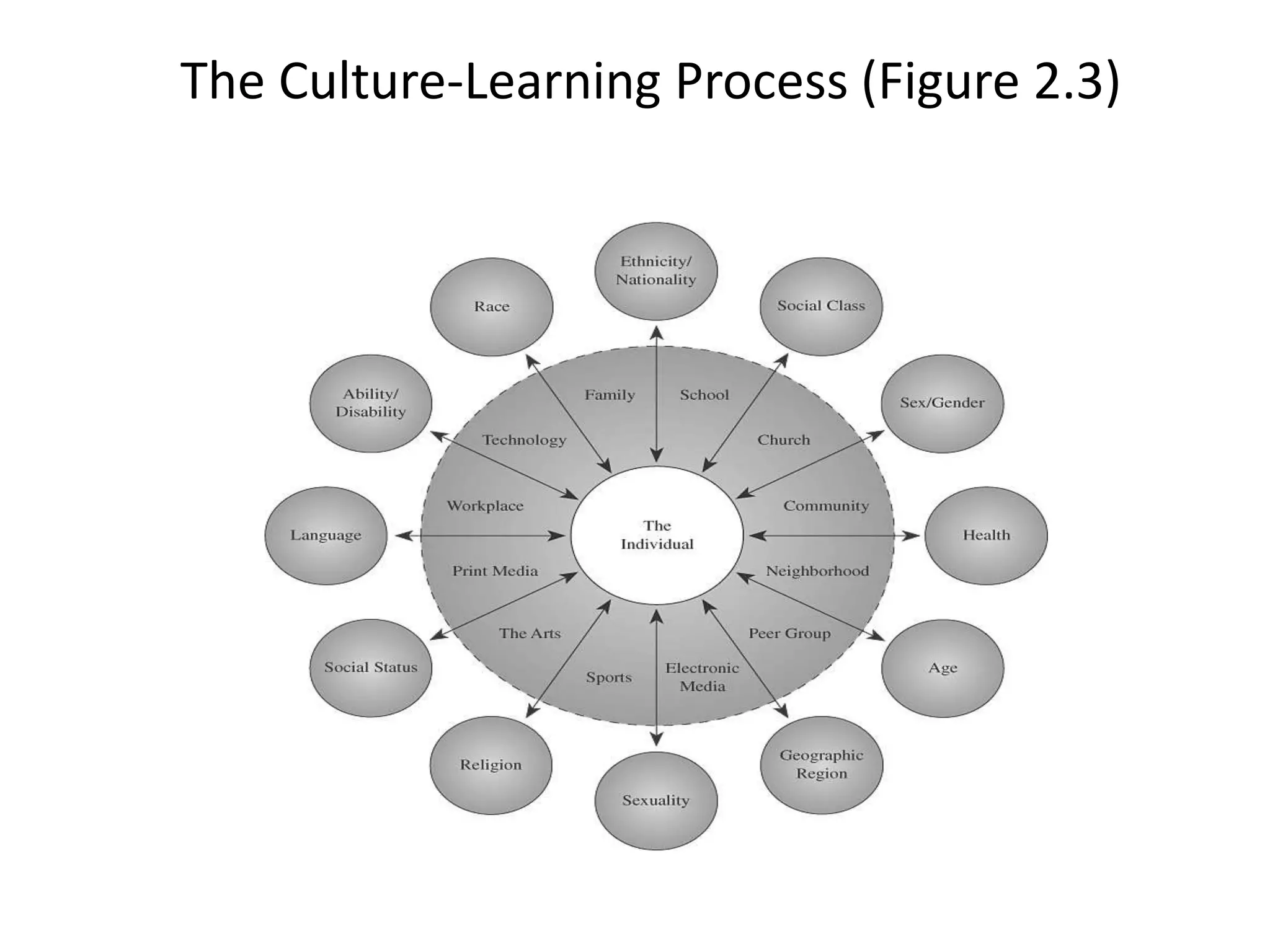 The Culture-Learning Process (Figure 2.3)

 