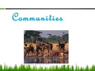 Communities
 