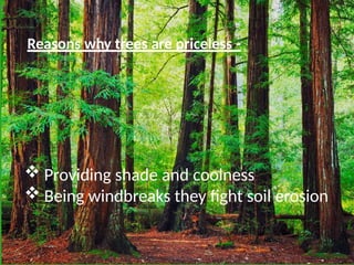 save trees PowerPoint Templates to promote environmental awareness and ...
