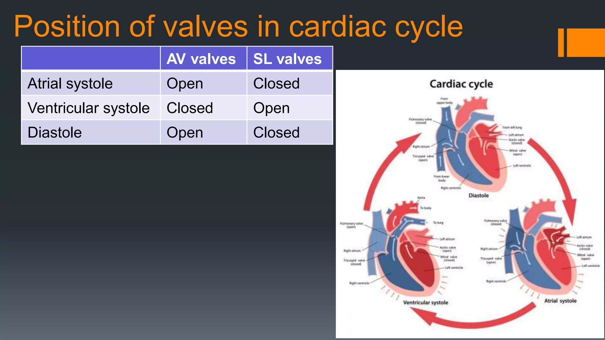 AS Biology-The mammalian heart | PPTX