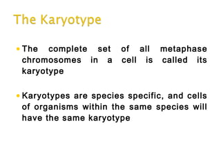 •The complete set of all metaphase
chromosomes in a cell is called its
karyotype
•Karyotypes are species specific, and cells
of organisms within the same species will
have the same karyotype
 