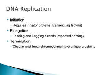  Initiation
◦ Requires initiator proteins (trans-acting factors)
 Elongation
◦ Leading and Lagging strands (repeated priming)
 Termination
◦ Circular and linear chromosomes have unique problems
 