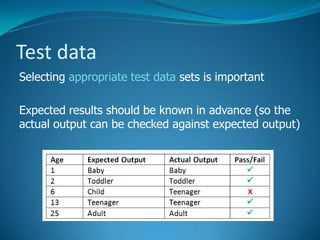 4. The Software Development Process - Testing | PDF
