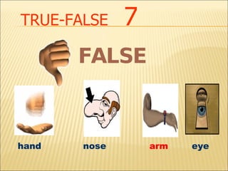 TRUE-FALSE   7 hand nose   arm  eye FALSE 