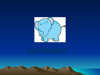 ELEPHANT 