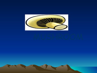 MUSHROOM 