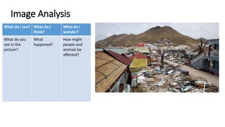 Image Analysis
What do I see? What do I
think?
What do I
wonder?
What do you
see in the
picture?
What
happened?
How might
people and
animals be
affected?
 