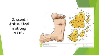 13. scent.-
A skunk had
a strong
scent.
 