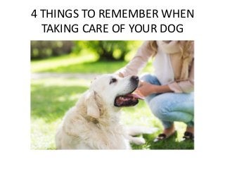4 THINGS TO REMEMBER WHEN
TAKING CARE OF YOUR DOG
 