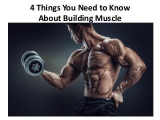 4 Things You Need to Know
About Building Muscle
 