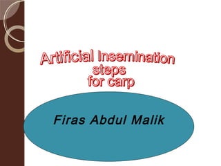 Firas Abdul Malik
 