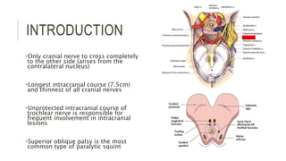INTRODUCTION
Only cranial nerve to cross completely
to the other side (arises from the
contralateral nucleus)
Longest intracranial course (7.5cm)
and thinnest of all cranial nerves
Unprotected intracranial course of
trochlear nerve is responsible for
frequent involvement in intracranial
lesions
Superior oblique palsy is the most
common type of paralytic squint
 