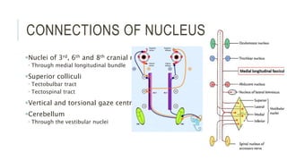CONNECTIONS OF NUCLEUS
Nuclei of 3rd, 6th and 8th cranial nerve
 Through medial longitudinal bundle
Superior colliculi
 Tectobulbar tract
 Tectospinal tract
Vertical and torsional gaze centres
Cerebellum
 Through the vestibular nuclei
 