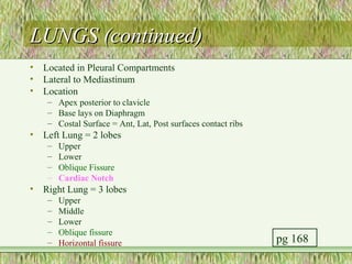 LUNGS (continued)
•   Located in Pleural Compartments
•   Lateral to Mediastinum
•   Location
     – Apex posterior to clavicle
     – Base lays on Diaphragm
     – Costal Surface = Ant, Lat, Post surfaces contact ribs
•   Left Lung = 2 lobes
     –   Upper
     –   Lower
     –   Oblique Fissure
     –   Cardiac Notch
•   Right Lung = 3 lobes
     –   Upper
     –   Middle
     –   Lower
     –   Oblique fissure
     –   Horizontal fissure                                    pg 168
 