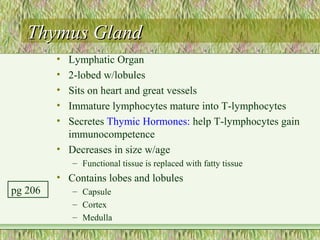 Thymus Gland
         • Lymphatic Organ
         • 2-lobed w/lobules
         • Sits on heart and great vessels
         • Immature lymphocytes mature into T-lymphocytes
         • Secretes Thymic Hormones: help T-lymphocytes gain
           immunocompetence
         • Decreases in size w/age
             – Functional tissue is replaced with fatty tissue
         • Contains lobes and lobules
pg 206       – Capsule
             – Cortex
             – Medulla
 