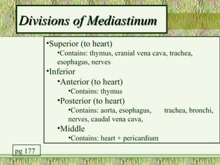 Divisions of Mediastinum
         •Superior (to heart)
            •Contains: thymus, cranial vena cava, trachea,
            esophagus, nerves
         •Inferior
            •Anterior (to heart)
               •Contains: thymus
            •Posterior (to heart)
               •Contains: aorta, esophagus,     trachea, bronchi,
               nerves, caudal vena cava,
            •Middle
               •Contains: heart + pericardium
pg 177
 