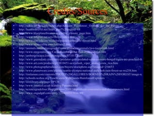 4th Period Rainforest.View&Item.Attachment.Id=2&User.Context=Dw5qy3 ...