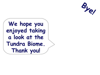 We hope you enjoyed taking a look at the Tundra Biome. Thank you! Bye! 