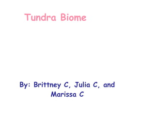 Tundra Biome  By: Brittney C, Julia C, and Marissa C 