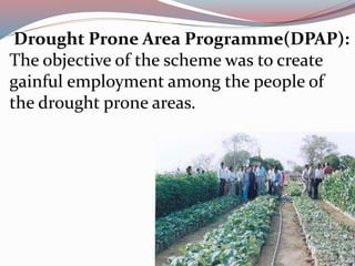 Drought Prone Area Programme(DPAP): 
The objective of the scheme was to create 
gainful employment among the people of 
the drought prone areas. 
 