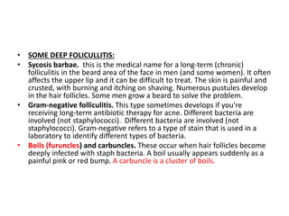 • SOME DEEP FOLICULLITIS:
• Sycosis barbae. this is the medical name for a long-term (chronic)
folliculitis in the beard area of the face in men (and some women). It often
affects the upper lip and it can be difficult to treat. The skin is painful and
crusted, with burning and itching on shaving. Numerous pustules develop
in the hair follicles. Some men grow a beard to solve the problem.
• Gram-negative folliculitis. This type sometimes develops if you're
receiving long-term antibiotic therapy for acne. Different bacteria are
involved (not staphylococci). Different bacteria are involved (not
staphylococci). Gram-negative refers to a type of stain that is used in a
laboratory to identify different types of bacteria.
• Boils (furuncles) and carbuncles. These occur when hair follicles become
deeply infected with staph bacteria. A boil usually appears suddenly as a
painful pink or red bump. A carbuncle is a cluster of boils.
 