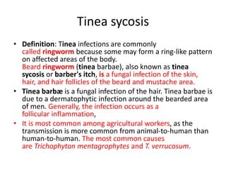 Tinea sycosis
• Definition: Tinea infections are commonly
called ringworm because some may form a ring-like pattern
on affected areas of the body.
Beard ringworm (tinea barbae), also known as tinea
sycosis or barber's itch, is a fungal infection of the skin,
hair, and hair follicles of the beard and mustache area.
• Tinea barbæ is a fungal infection of the hair. Tinea barbae is
due to a dermatophytic infection around the bearded area
of men. Generally, the infection occurs as a
follicular inflammation,
• It is most common among agricultural workers, as the
transmission is more common from animal-to-human than
human-to-human. The most common causes
are Trichophyton mentagrophytes and T. verrucosum.
 