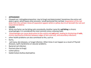 • APPEARANCE
• Chewed-out, rotting(decomposition due to fungi) and deteriorated. Sometimes the entire nail
plate is gone, which leaves only remnants (small portion)of the nail bed. (separation of the nail
plate from the nail bed. Areas of separation appear white or yellow due to air beneath the nail and
sequestered debris)
• CAUSES
• While one factor can be biting nails consistently, Another name for nail biting is chronic
onychophagia. It is considered the most common stress-relieving habit.
• Onychophagia can cause destruction to the cuticle and nail plate, leading to shortening of nails,
chronic paronychia (infection between edges of skin and nail), and secondary infections.
• other health problems can also contribute to this, such as
• burns,
• nail injury, skin diseases, or fungal infection. Other times it can happen as a result of Thyroid
diseases, Lyell's Syndromes or vascular problems.
• Bacterial nail infection
• Psoriasis (due to fungi)
• Lichen planus
• Epidermolysis bullosa dystrophica
 