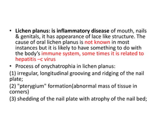 • Lichen planus: is inflammatory disease of mouth, nails
& genitals, it has appearance of lace like structure. The
cause of oral lichen planus is not known in most
instances but it is likely to have something to do with
the body’s immune system, some times it is related to
hepatitis –c virus
• Process of onychatrophia in lichen planus:
(1) irregular, longitudinal grooving and ridging of the nail
plate;
(2) "pterygium" formation(abnormal mass of tissue in
corners)
(3) shedding of the nail plate with atrophy of the nail bed;
 