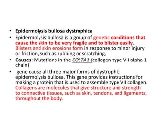 • Epidermolysis bullosa dystrophica
• Epidermolysis bullosa is a group of genetic conditions that
cause the skin to be very fragile and to blister easily.
Blisters and skin erosions form in response to minor injury
or friction, such as rubbing or scratching.
• Causes: Mutations in the COL7A1 (collagen type VII alpha 1
chain)
• gene cause all three major forms of dystrophic
epidermolysis bullosa. This gene provides instructions for
making a protein that is used to assemble type VII collagen.
Collagens are molecules that give structure and strength
to connective tissues, such as skin, tendons, and ligaments,
throughout the body.
 