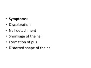 • Symptoms:
• Discoloration
• Nail detachment
• Shrinkage of the nail
• Formation of pus
• Distorted shape of the nail
 