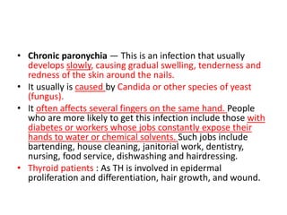 • Chronic paronychia — This is an infection that usually
develops slowly, causing gradual swelling, tenderness and
redness of the skin around the nails.
• It usually is caused by Candida or other species of yeast
(fungus).
• It often affects several fingers on the same hand. People
who are more likely to get this infection include those with
diabetes or workers whose jobs constantly expose their
hands to water or chemical solvents. Such jobs include
bartending, house cleaning, janitorial work, dentistry,
nursing, food service, dishwashing and hairdressing.
• Thyroid patients : As TH is involved in epidermal
proliferation and differentiation, hair growth, and wound.
 