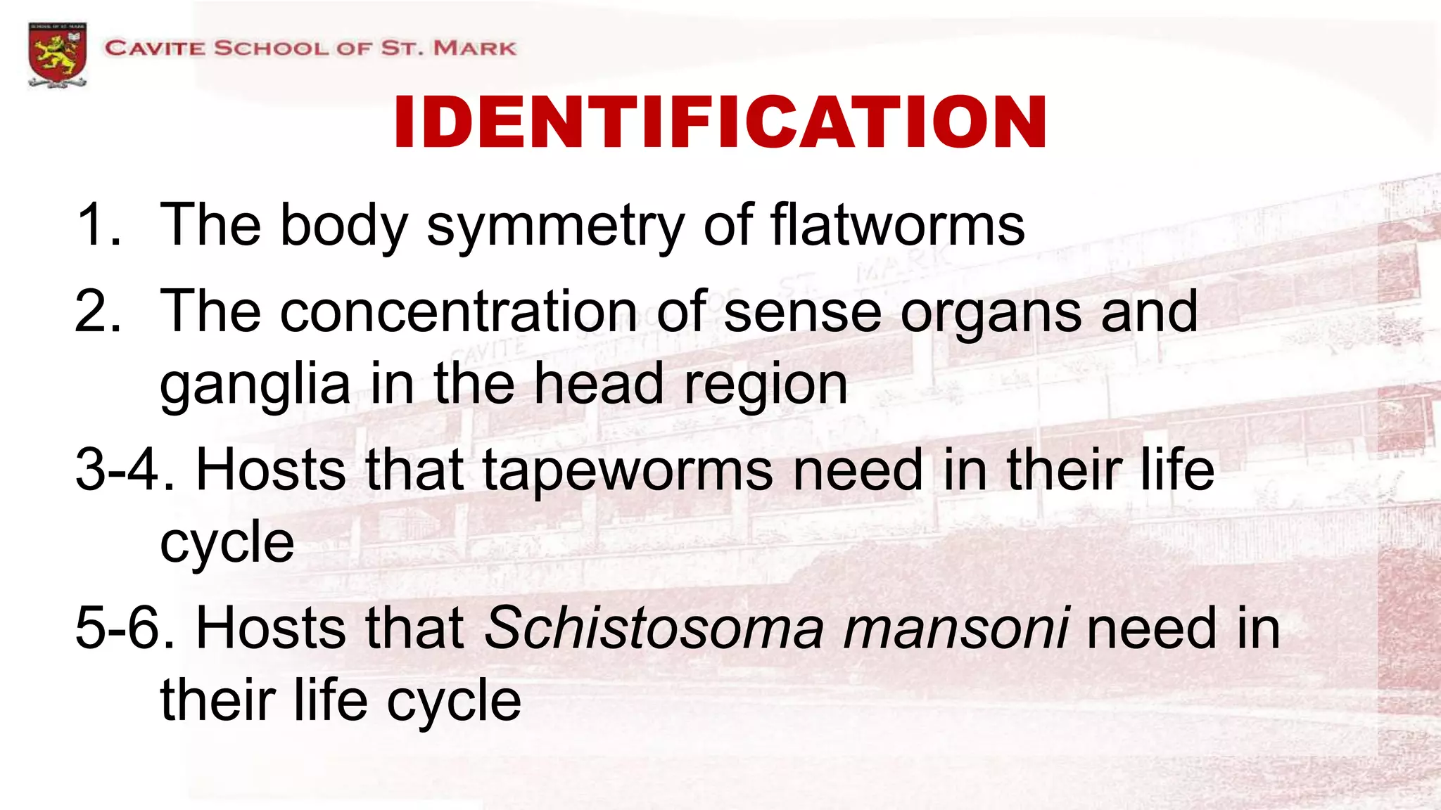 IDENTIFICATION
1. The body symmetry of flatworms
2. The concentration of sense organs and
ganglia in the head region
3-4. Hosts that tapeworms need in their life
cycle
5-6. Hosts that Schistosoma mansoni need in
their life cycle
 
