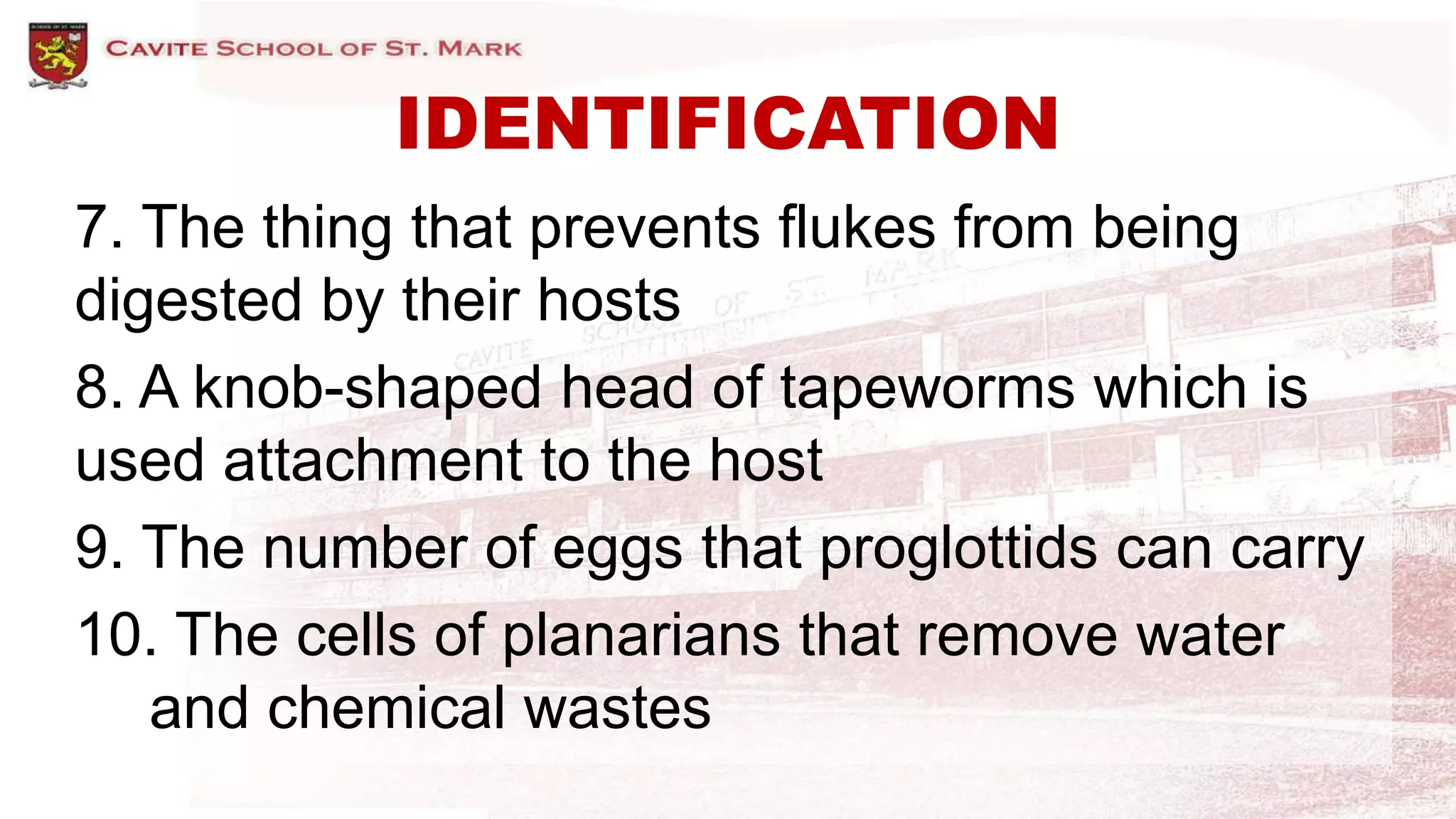 IDENTIFICATION
7. The thing that prevents flukes from being
digested by their hosts
8. A knob-shaped head of tapeworms which is
used attachment to the host
9. The number of eggs that proglottids can carry
10. The cells of planarians that remove water
and chemical wastes
 