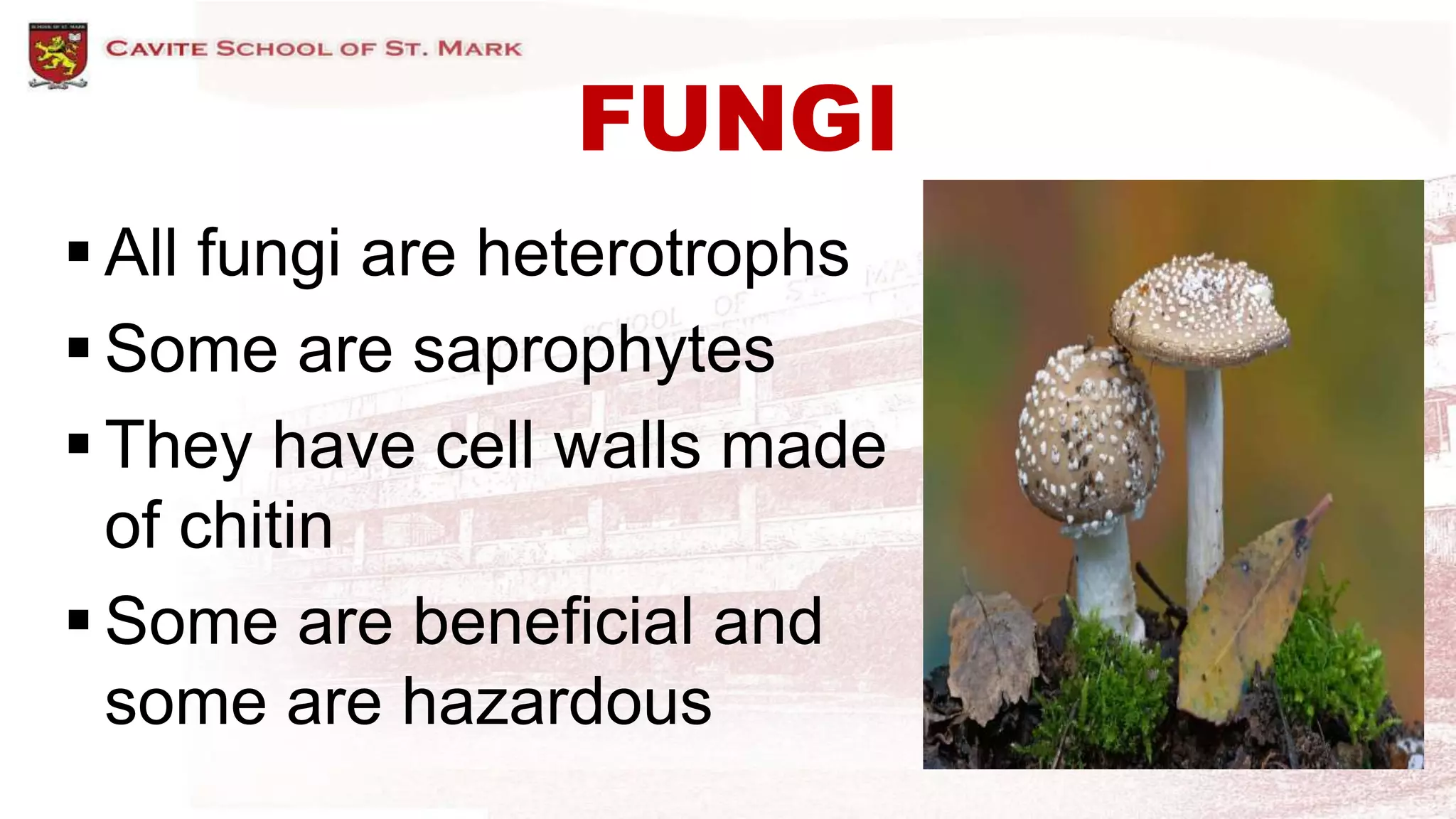 FUNGI
 All fungi are heterotrophs
 Some are saprophytes
 They have cell walls made
of chitin
 Some are beneficial and
some are hazardous
 