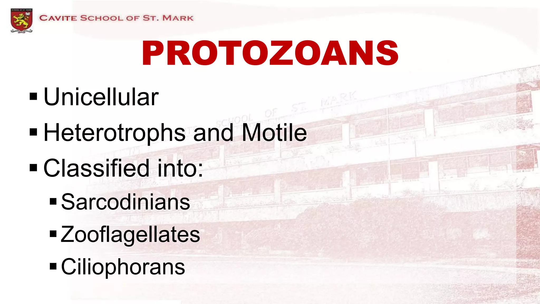 PROTOZOANS
 Unicellular
 Heterotrophs and Motile
 Classified into:
Sarcodinians
Zooflagellates
Ciliophorans
 