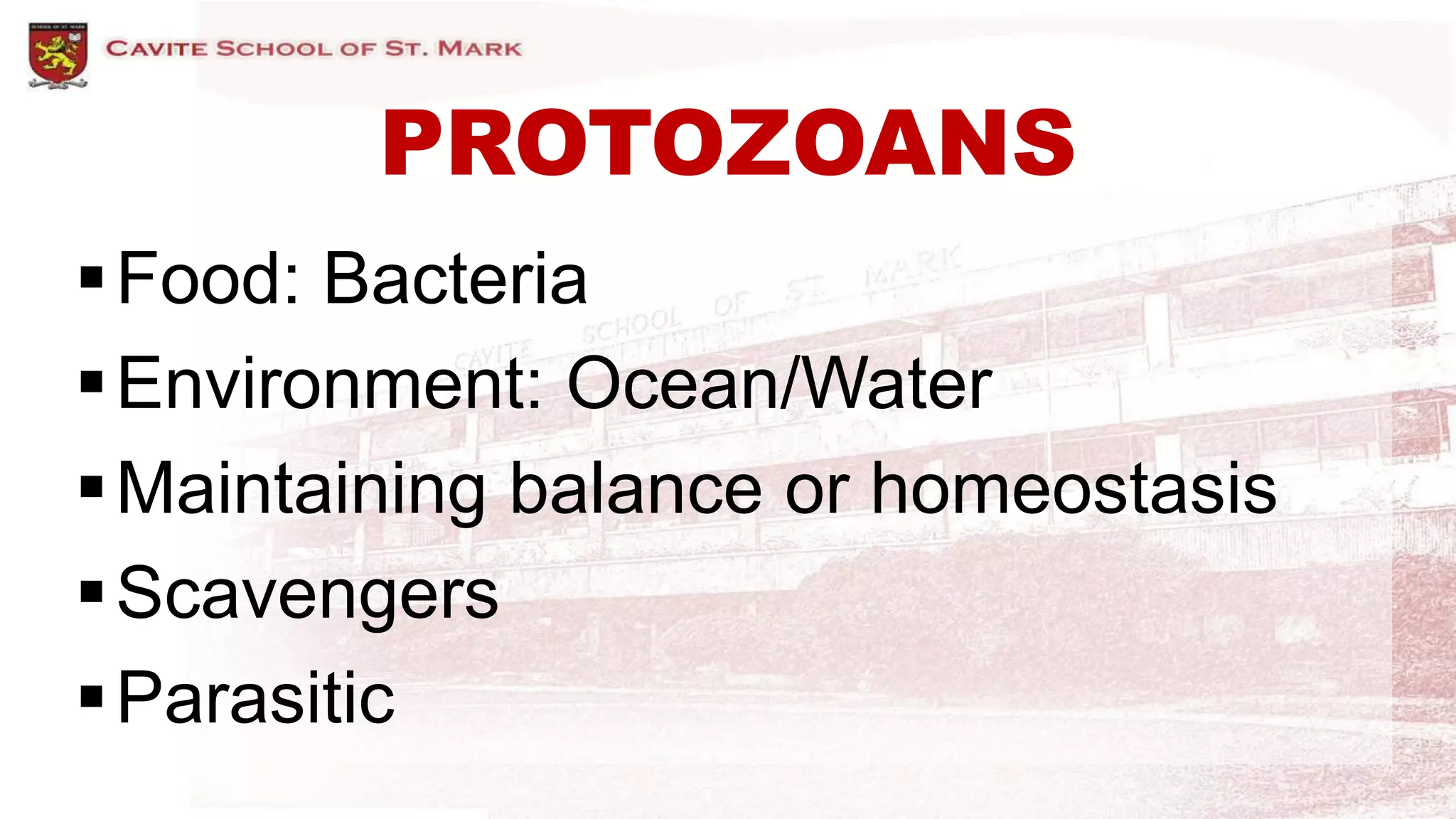 PROTOZOANS
Food: Bacteria
Environment: Ocean/Water
Maintaining balance or homeostasis
Scavengers
Parasitic
 