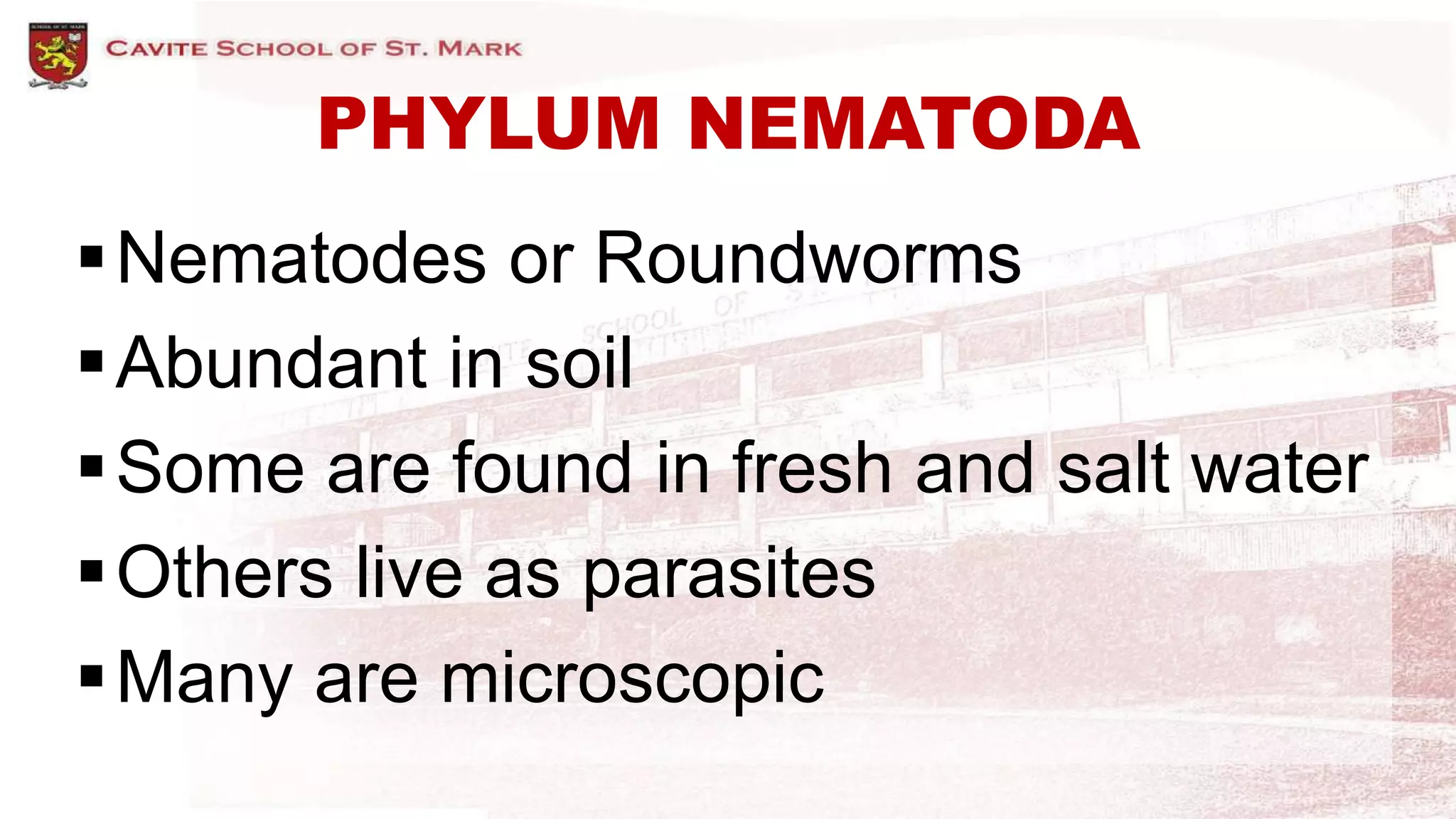 PHYLUM NEMATODA
Nematodes or Roundworms
Abundant in soil
Some are found in fresh and salt water
Others live as parasites
Many are microscopic
 