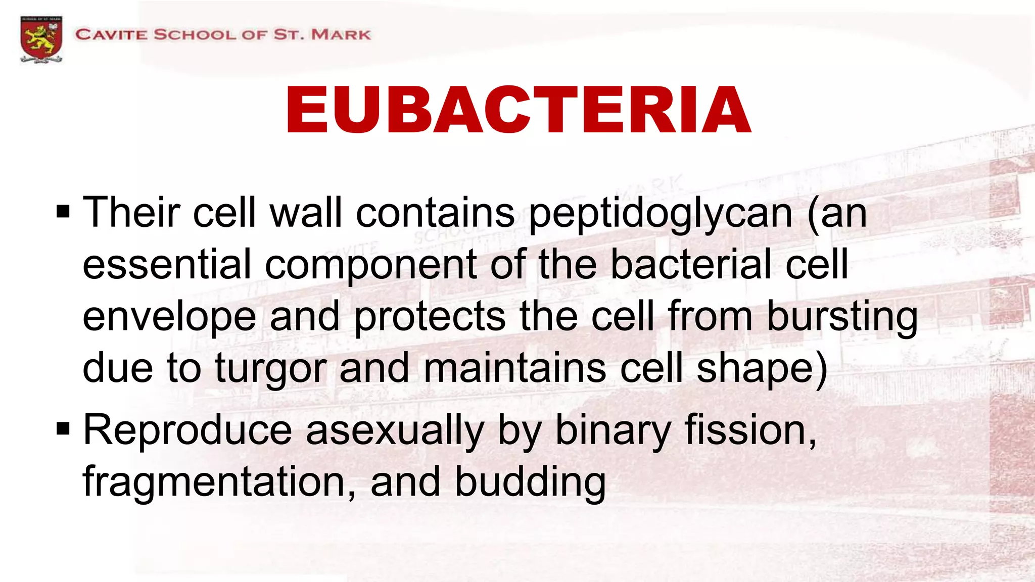 EUBACTERIA
 Their cell wall contains peptidoglycan (an
essential component of the bacterial cell
envelope and protects the cell from bursting
due to turgor and maintains cell shape)
 Reproduce asexually by binary fission,
fragmentation, and budding
 